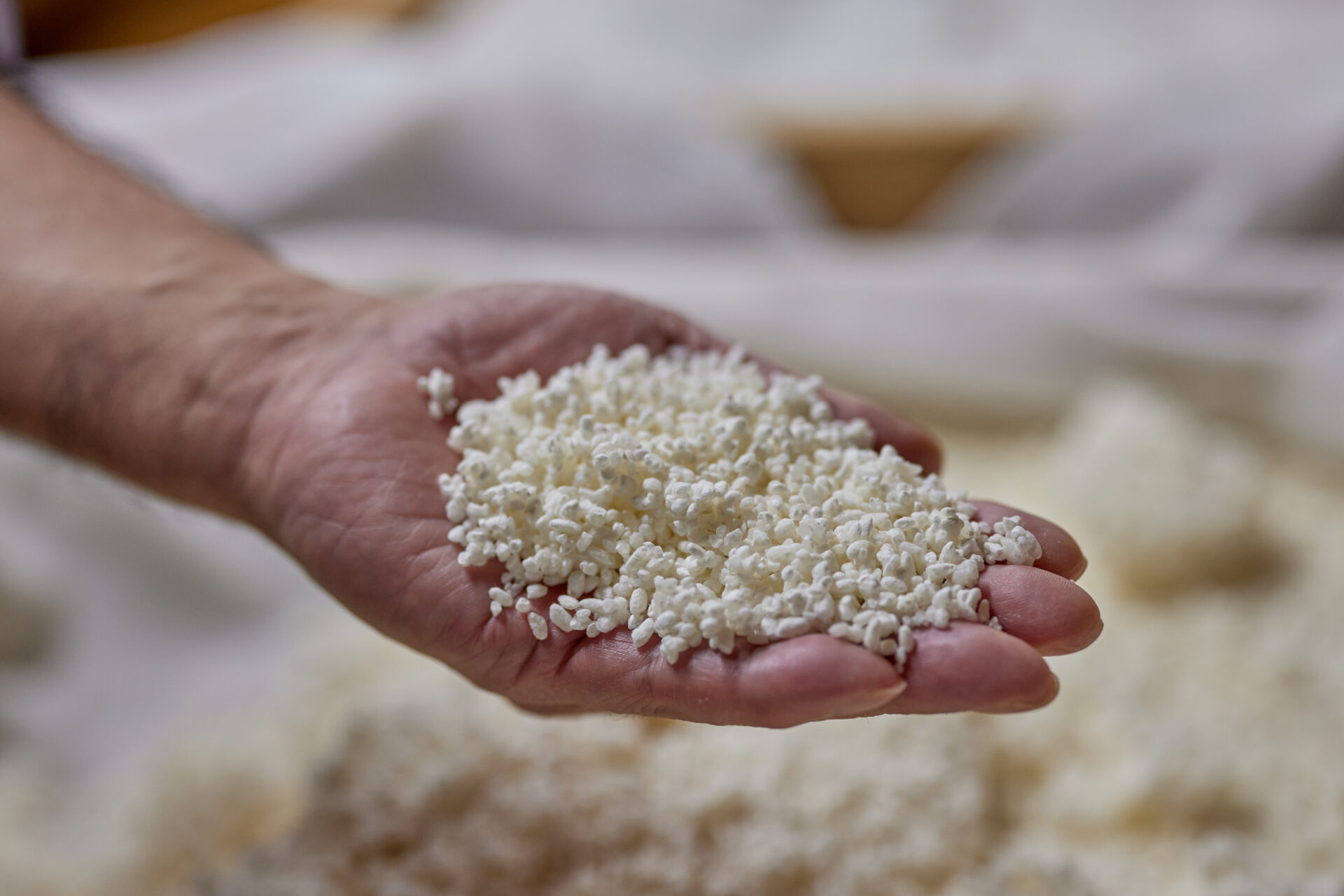 発酵文化研究家・なかじさんと学ぶ、発酵大国・新潟の魅力