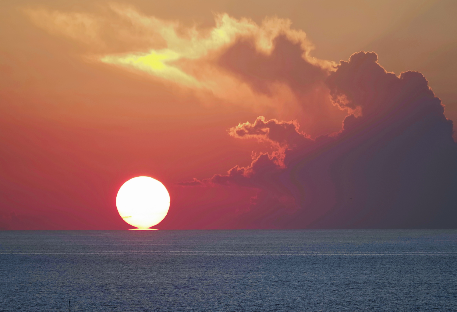 佐渡フェア ／ フォトグラファー T. T. Tanaka氏の写真特別展示