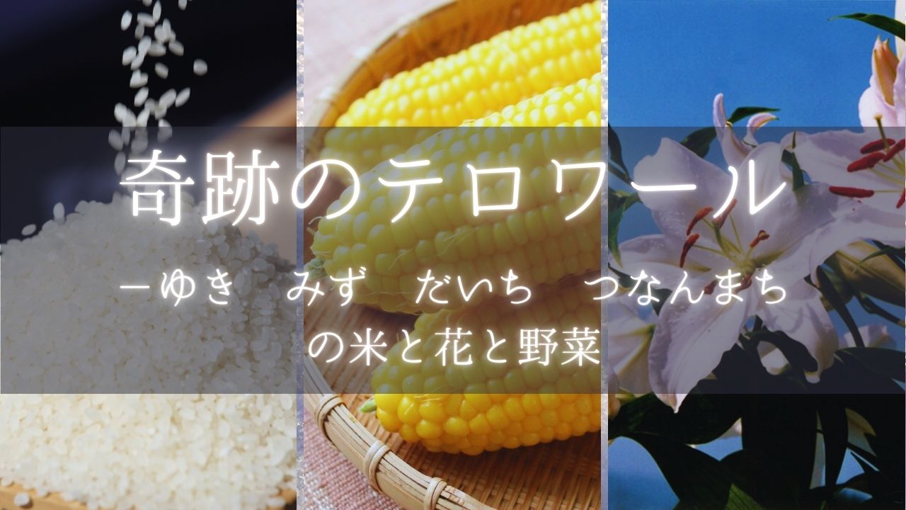 奇跡のテロワール　－ゆき みず だいち つなんまち　の米と花と野菜
